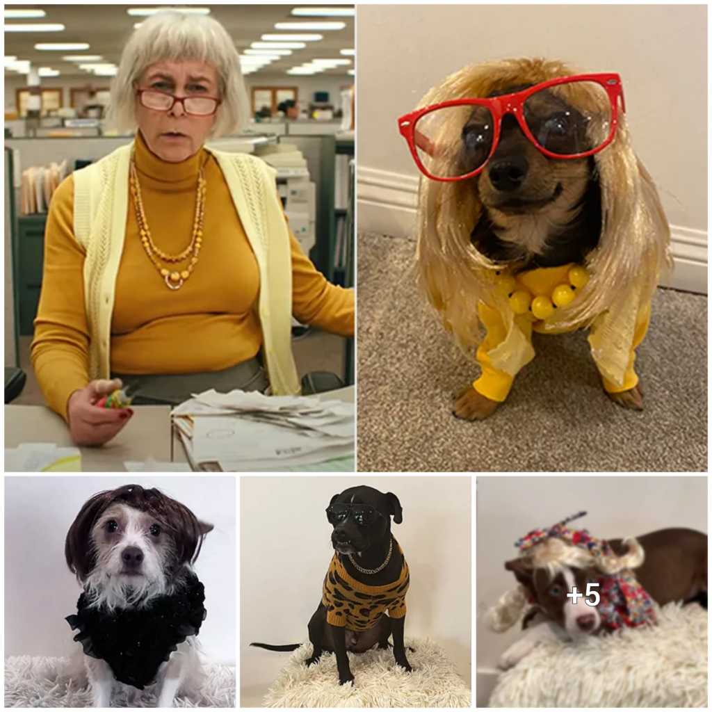 Canine Rescuers Channel Jamie Lee Curtis Movie Characters to Celebrate Her Future SAG Awards Triumph